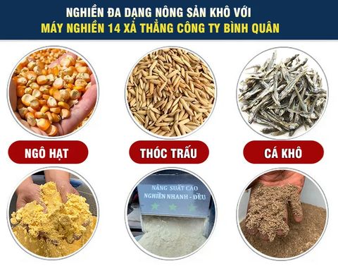 Máy Nghiền 14 Xả Thẳng