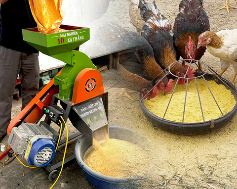 Máy Nghiền 10 Xả Thẳng