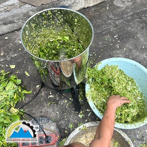 Máy Băm Rau Bèo 750W