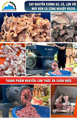 Máy Đùn Cá Công Nghiệp BQ200