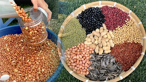 Máy rang hạt đa năng R30i-02