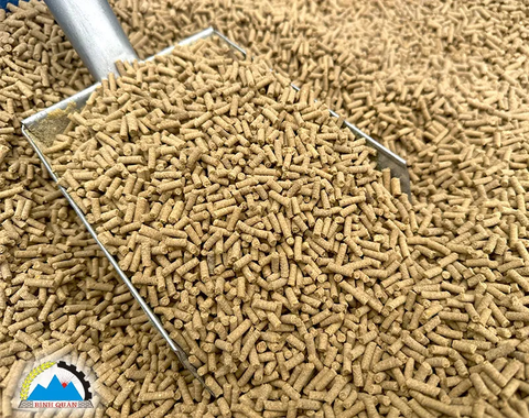 Máy ép cám viên S260-2L