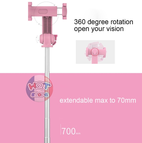 Gậy chụp ảnh Selfie Wonew Mini
