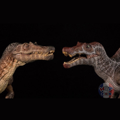 Mô hình khủng long Spinosaurus Nanmu Supplanter tỉ lệ 1/35 chính hãng