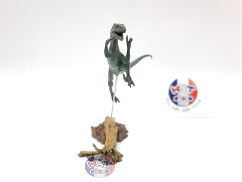 Mô hình khủng long Velociraptor Nanmu tỉ lệ 1/35 chính hãng (4 con)