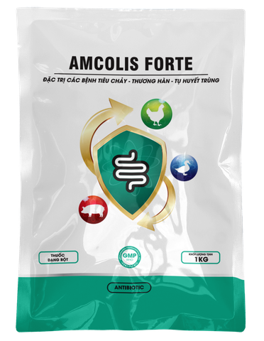 AMCOLIS FORTE - Gói 10G