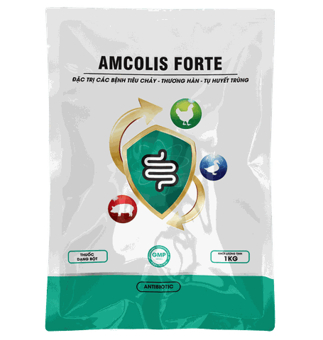 AMCOLIS FORTE