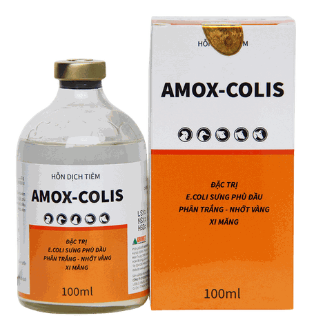 AMOX-COLIS
