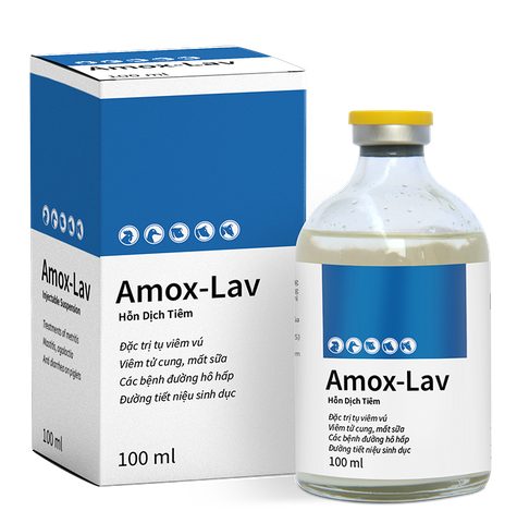 AMOX-LAV