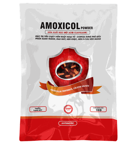 AMOXICOL POWDER