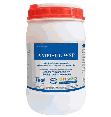 AMPISUL WSP