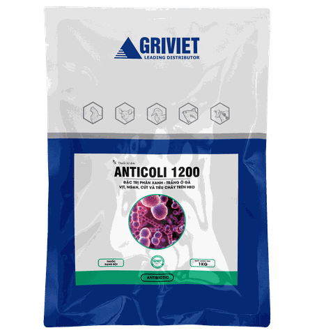 ANTICOLI 1200