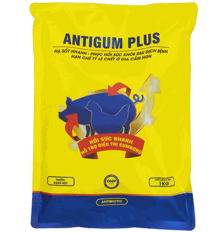 ANTIGUM PLUS