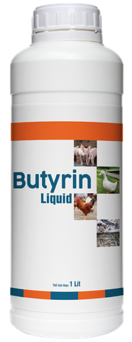 BUTYRIN PLUS