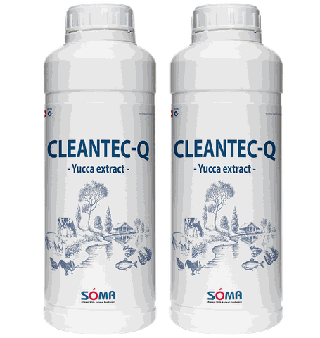 CLEANTEC-Q