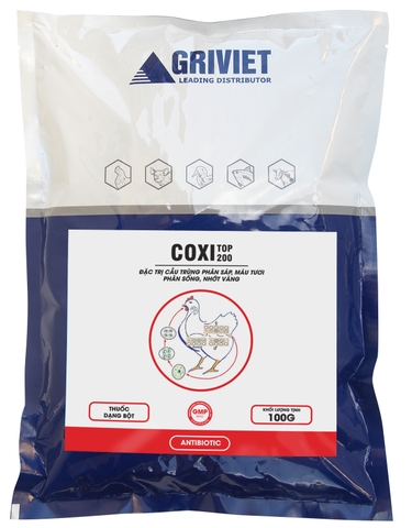 COXI - Gói 10G