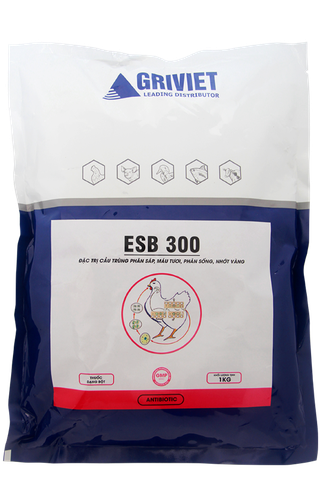 ESB 300