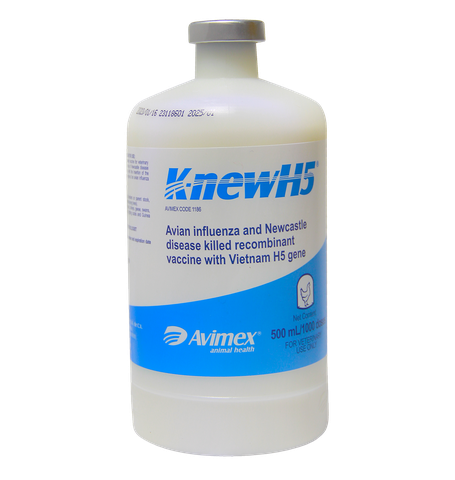 K-newH5