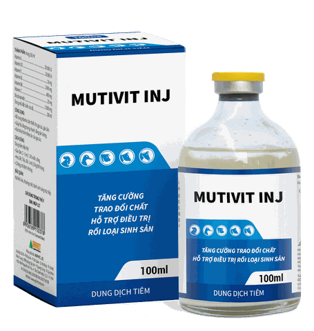 MUTIVIT INJ