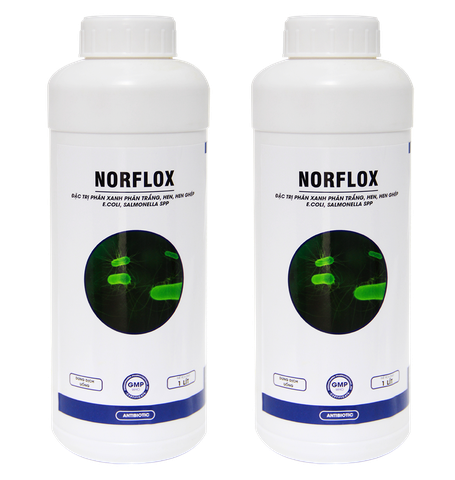 NORFLOX