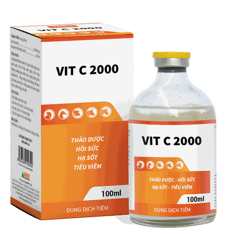 VIT C 2000