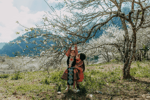 Tour Du Lịch Sơn La - Điện Biên - Sapa - Lai Châu Giá Rẻ