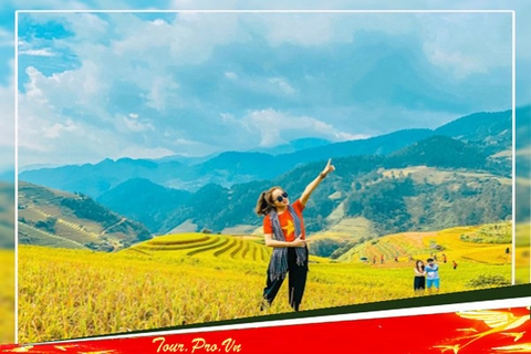 Tour Mù Cang Chải Giá Rẻ Review Kinh Nghiệm Du Lịch 2025