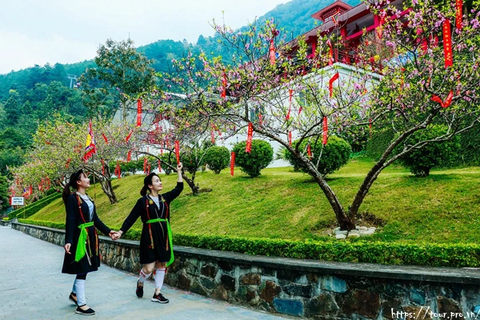 Tour TÂY THIÊN Vĩnh Phúc Giá Rẻ Kinh Nghiệm Du Lịch 2025