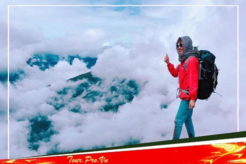 Tour Y Tý Giá Rẻ Review Kinh Nghiệm Du Lịch Cập Nhật 2025