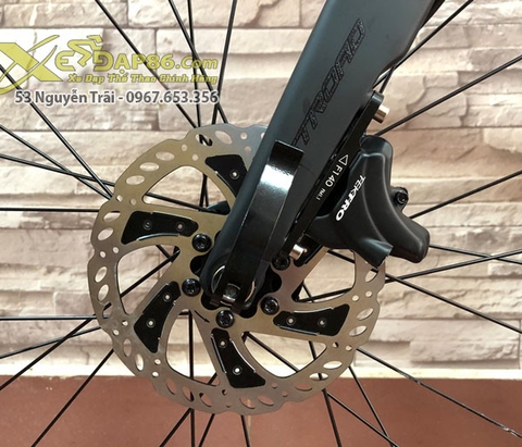 Fastroad sl1 2019 hotsell