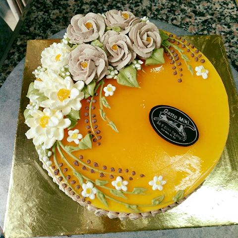 Mousse Chanh Leo Hoa Hồng Nâu Trắng