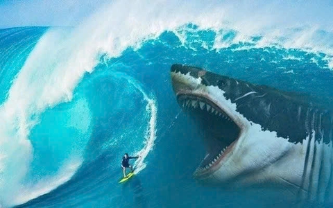 Góc nhìn chuyên gia: Đà tăng của thị trường mới đi nửa chặng đường, nhà đầu tư cần chọn đúng cổ phiếu thay vì “ăn theo sóng”