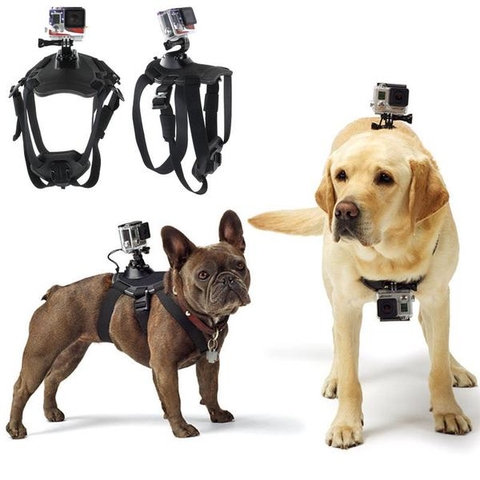 Dây Đeo Gắn Action Camera Gắn Trên Người Thú Cưng - Dog Fetch Harness