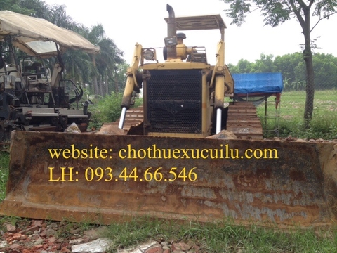 Cho thuê máy ủi D6