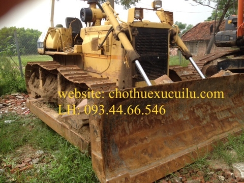 Cho thuê máy ủi D6