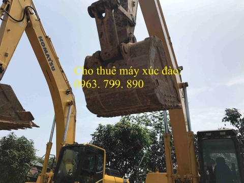 Cho thuê máy xúc đào bánh xích 350