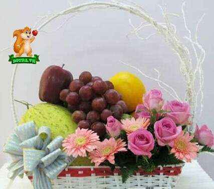 GIỎ HOA QUẢ ST 02