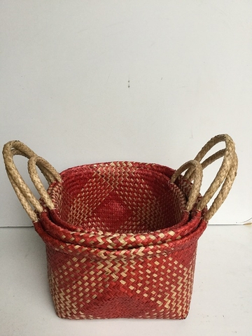 GIỎ CÓI LTCO 10B