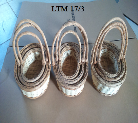 LTM17
