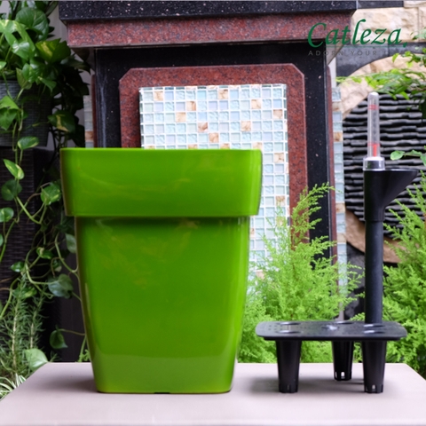 CHẬU TRỒNG CÂY THÔNG MINH - LTTC 35