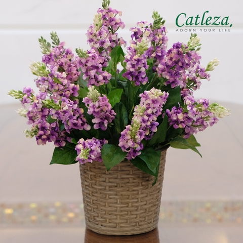 CHẬU TRỒNG CÂY THÔNG MINH - LTTC 42
