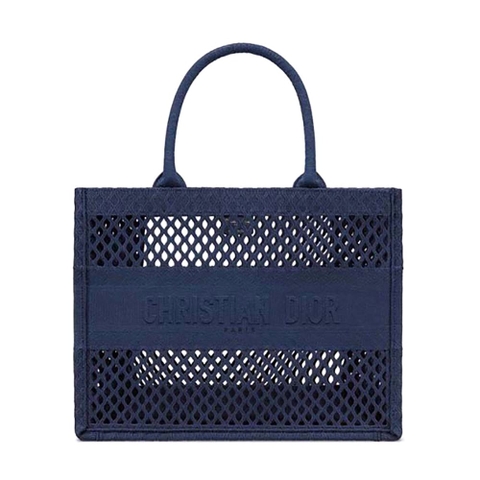 TÚI Dior Women Small Dior Book Tote Blue Mesh Embroidery