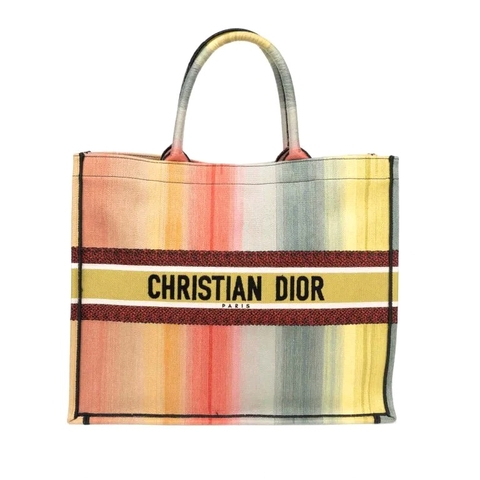 TÚI DIOR Book Tote Large Canvas Multicolour