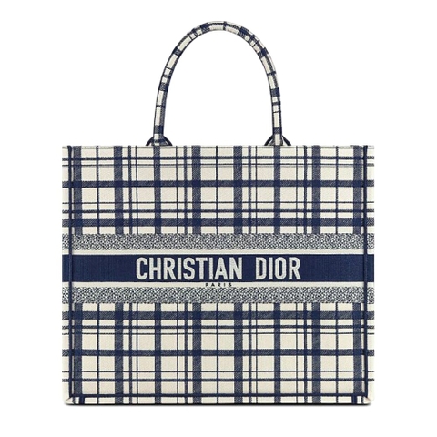TÚI Dior Women Book Tote Blue Check’n’Dior Embroidery