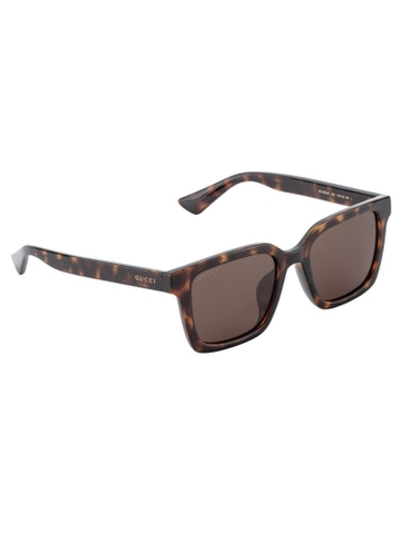 Kính GUCCI TURTLE FRAME HIGH CLASSY AAA