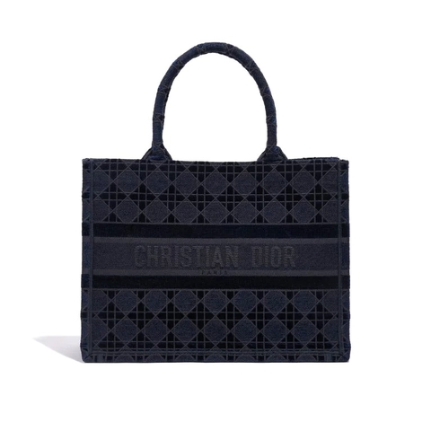 TÚI Dior Book Tote Medium Canvas Velvet Navy Blue