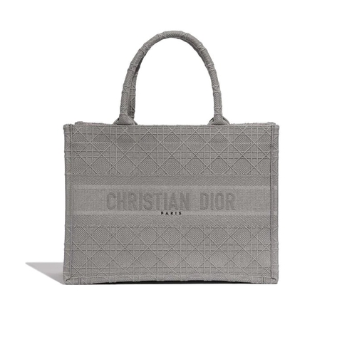 TÚI Dior Book Tote Medium Canvas Grey