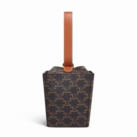 TÚI Celine Strap Box in Triomphe Canvas and Calfskin