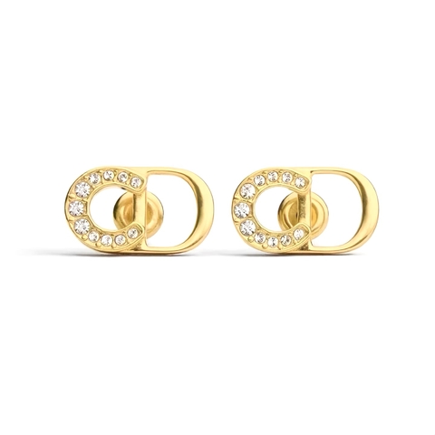 HOA TAI DIOR CD LUCKY CD HORSE