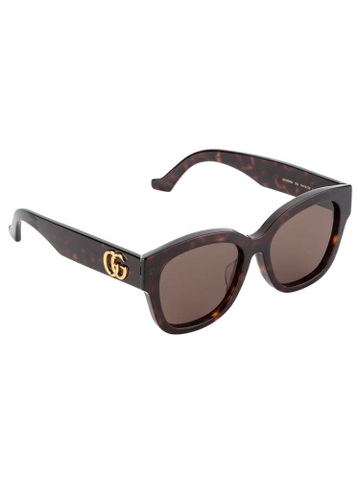 Kính GUCCI TURTLE FRAME HIGH CLASSY AAA